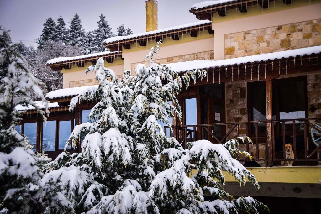 Aetoma Suites Synikia Mesi Trikalon Exterior foto